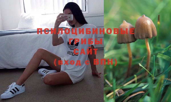 скорость Алексеевка
