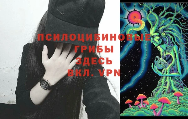 скорость Алексеевка